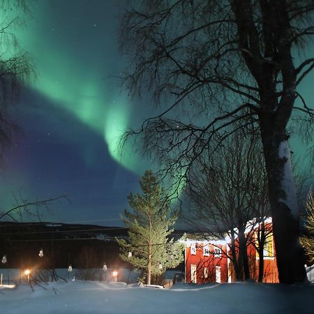Cozy Stuga - Mountain View Ramsele Exterior photo
