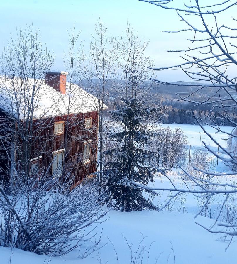 Cozy Stuga - Mountain View Ramsele Exterior photo
