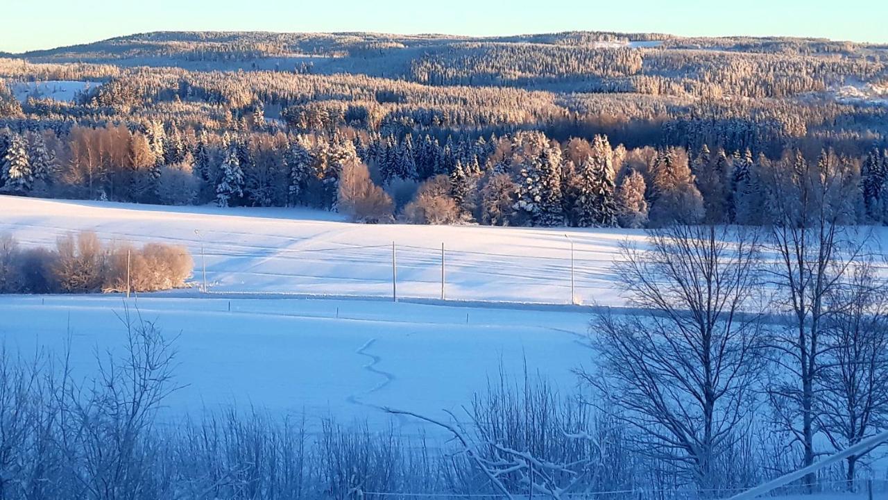 Cozy Stuga - Mountain View Ramsele Exterior photo